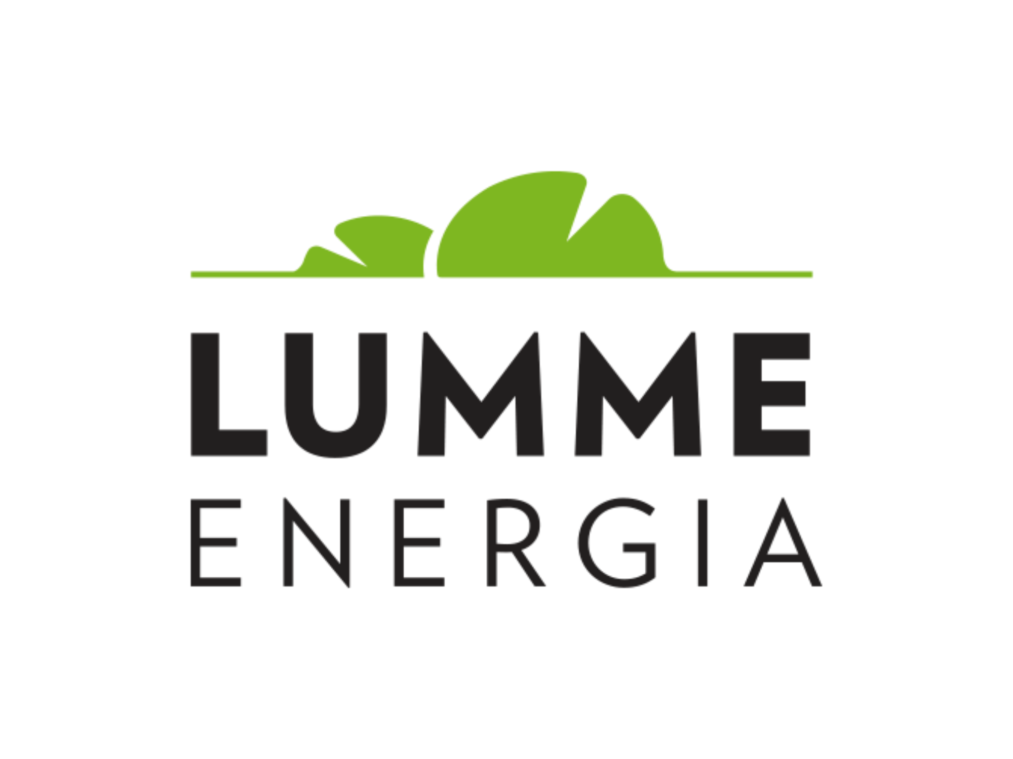 Lumme Energia